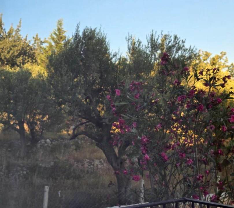 Photo of Others in Dhermi