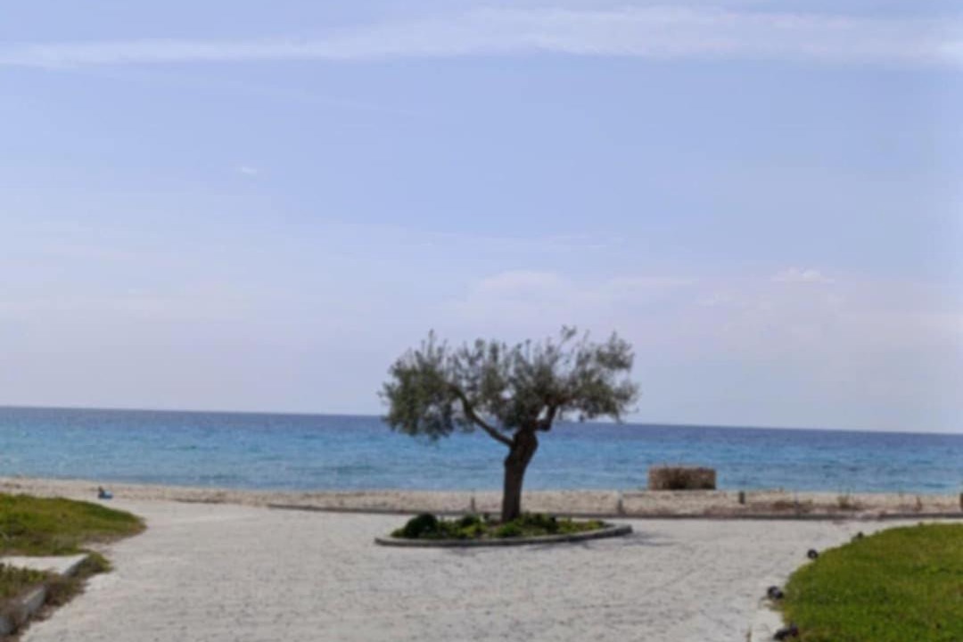 Photo of Others in Siviri