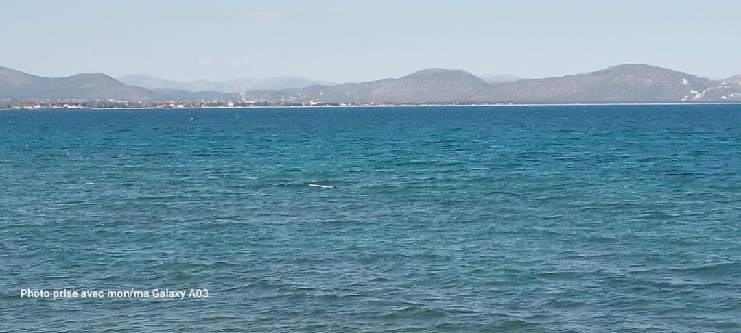 Photo of Others in Nea Makri