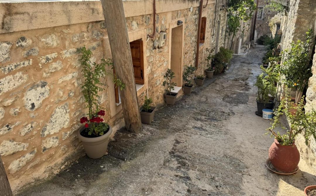 Photo of Others in Mesta