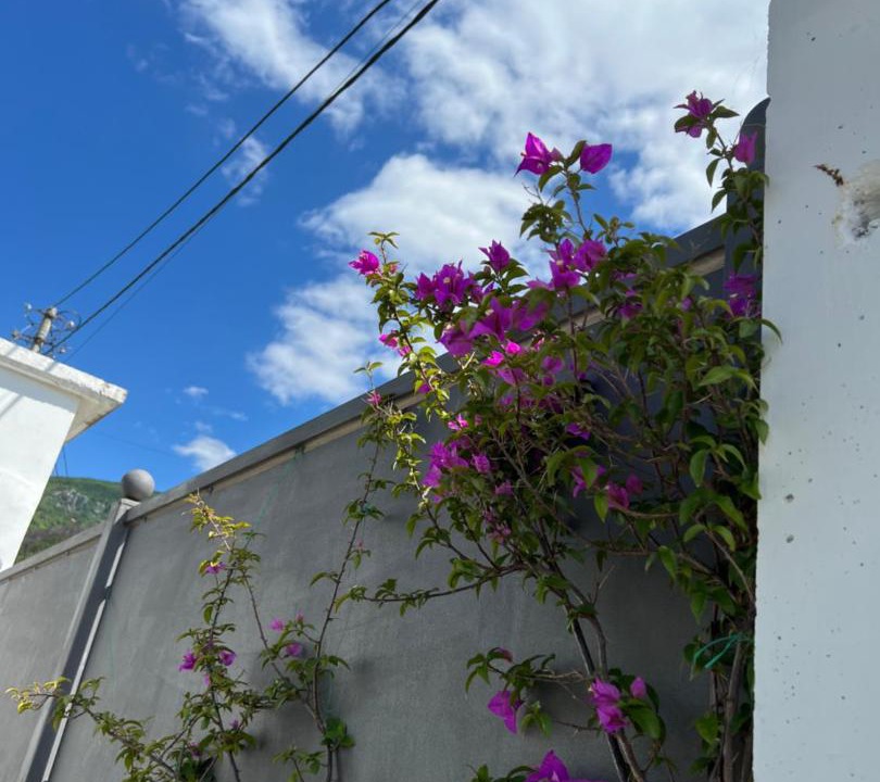 Photo of Others in Sakës
