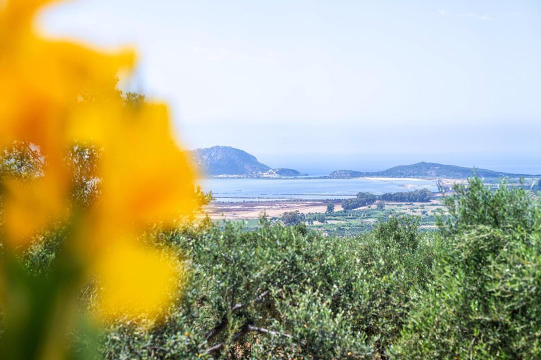 Photo of Others in Pylos-Nestoras