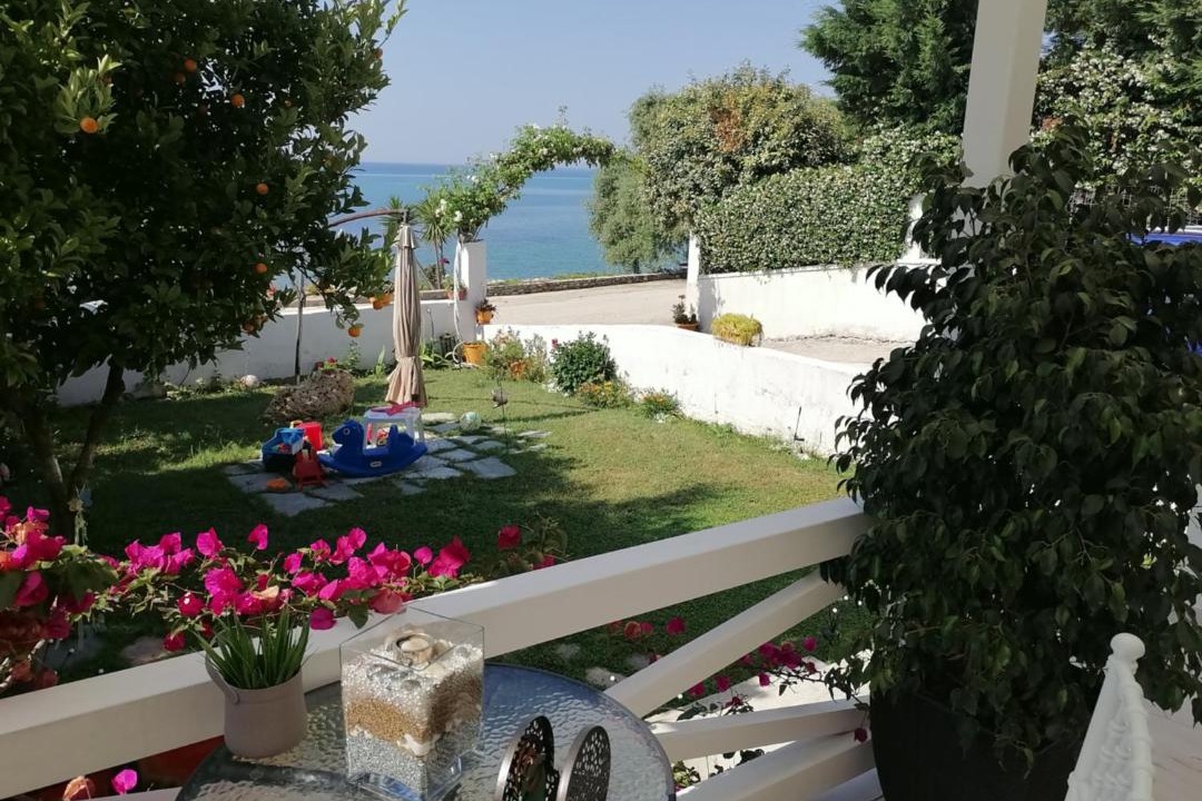 Photo of Others in Pangaio