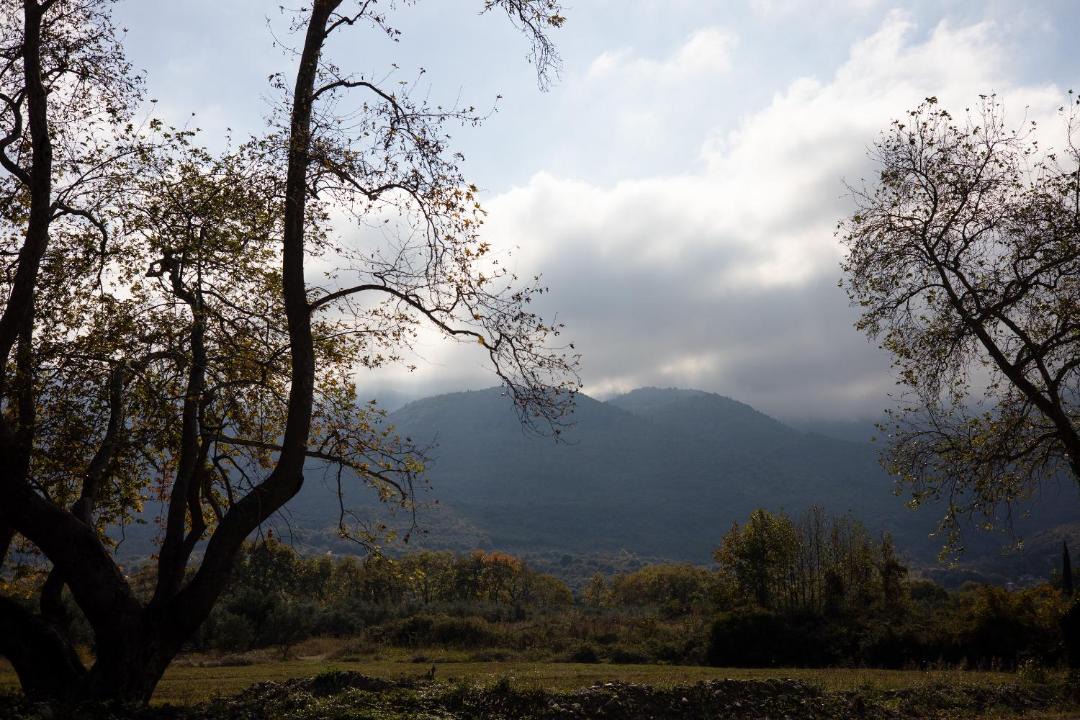 Photo of Others in Skotina