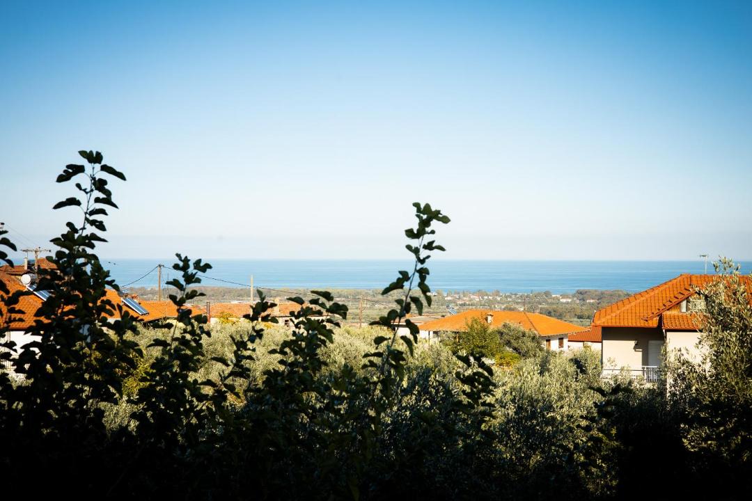 Photo of Others in Skotina