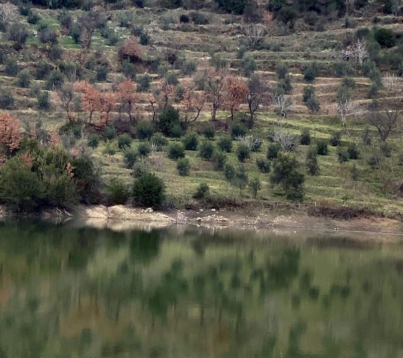 Photo of Others in Nikel