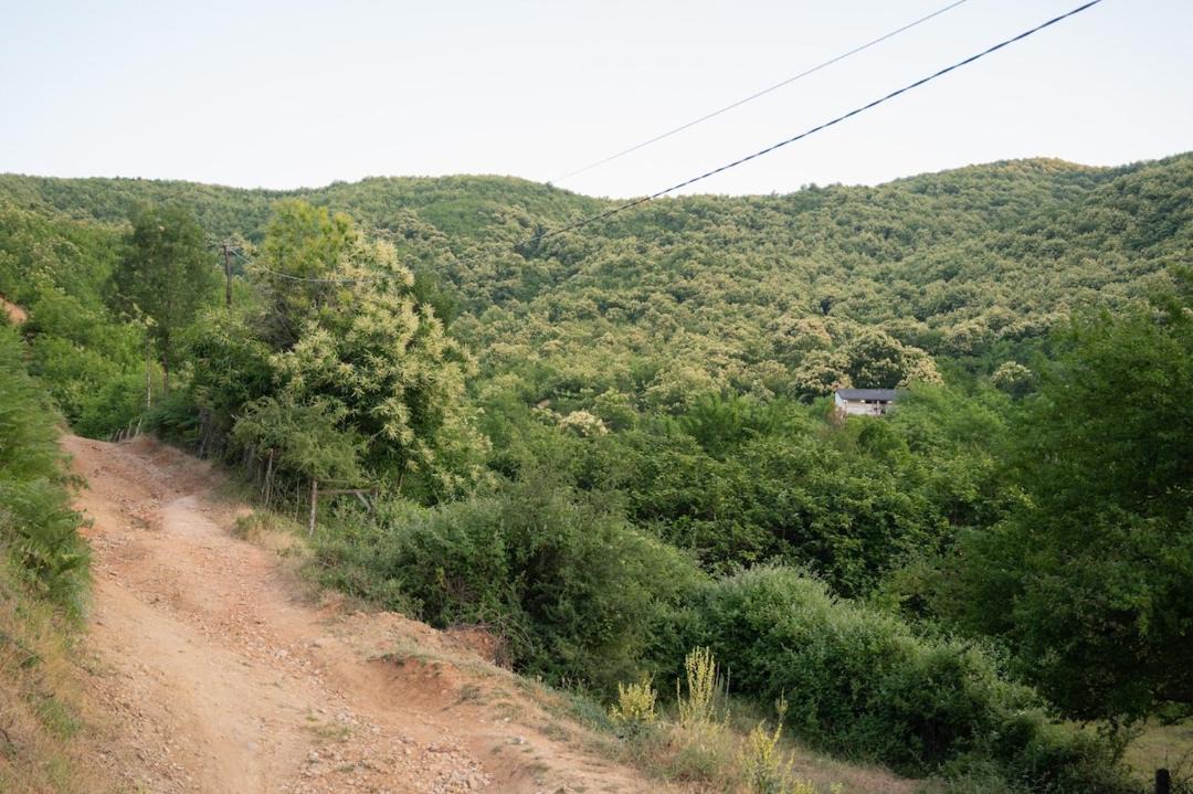 Photo of Others in Korce