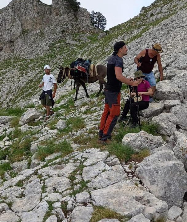 Photo of Others in Berat