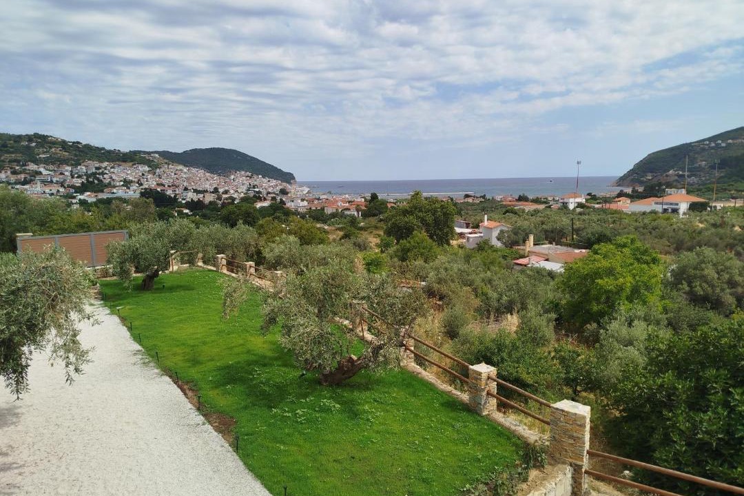 Photo of Others in Skopelos