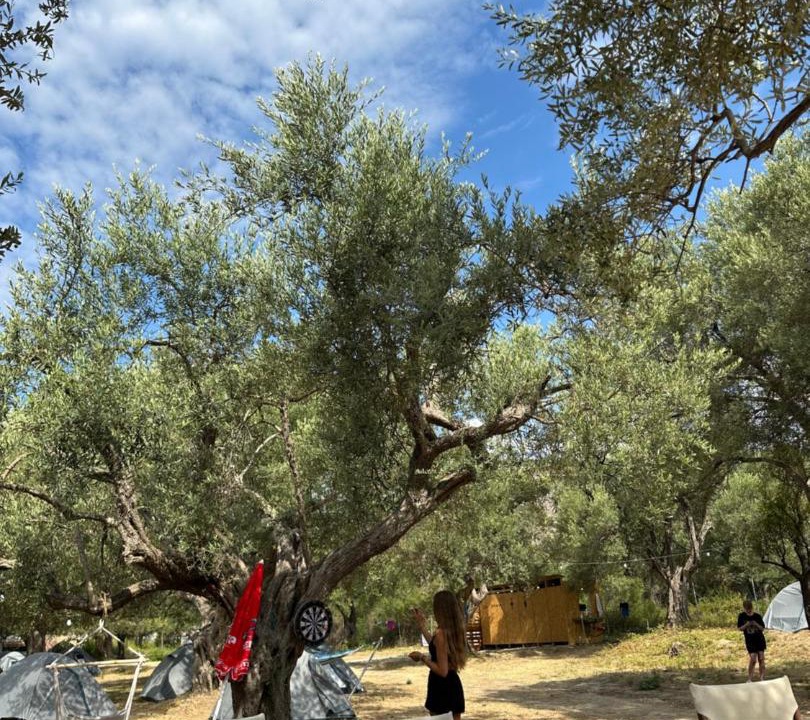 Photo of Others in Qeparo