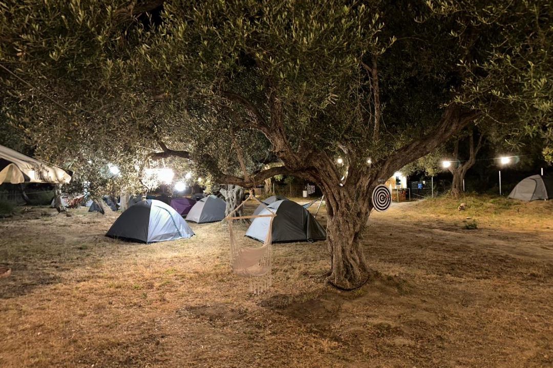 Photo of Others in Qeparo