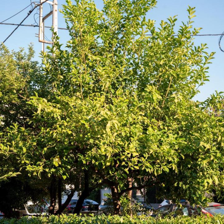Photo of Outdoor in Moschato-Tavros