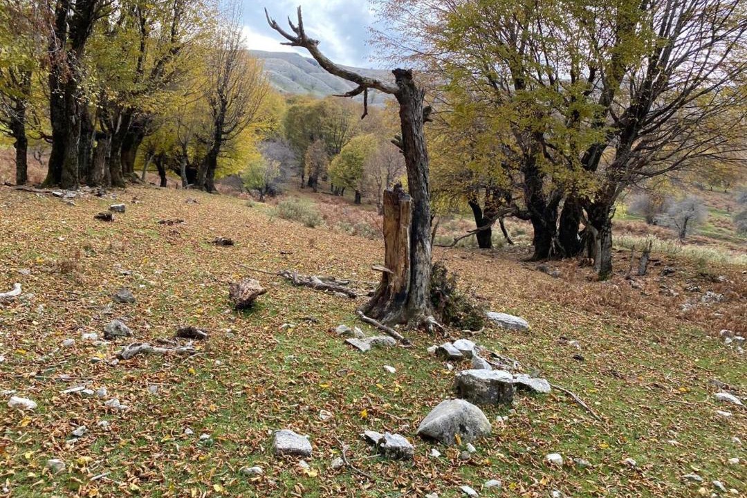 Photo of Others in Jala