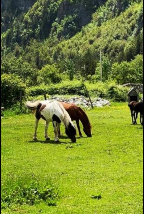 Photo of Others in Theth