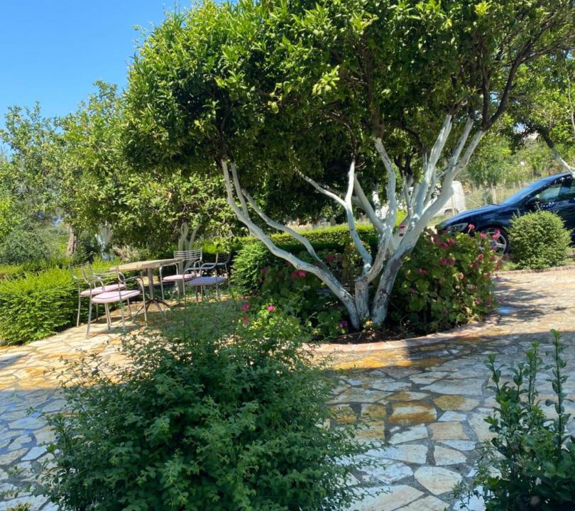 Photo of Outdoor in Radhime