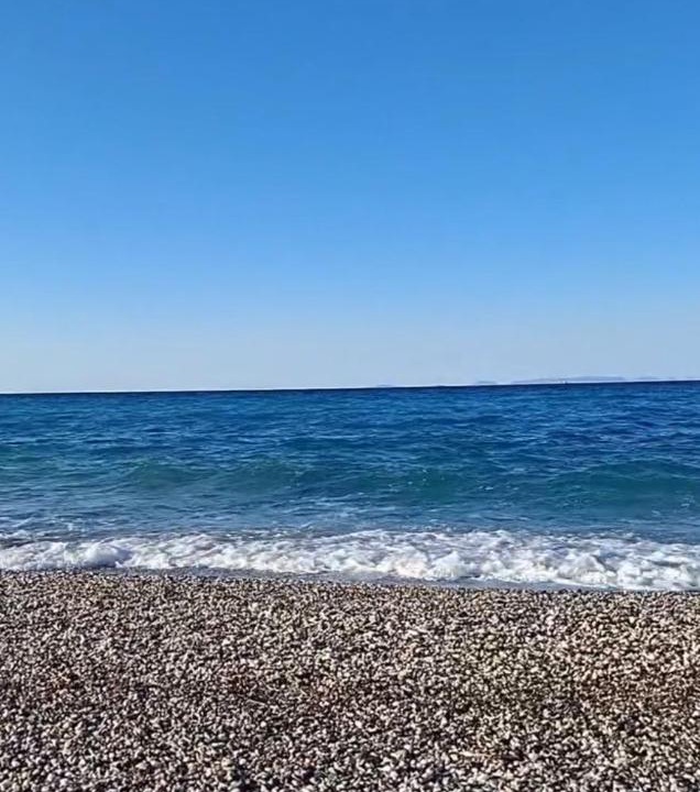 Photo of Others in Mourteri