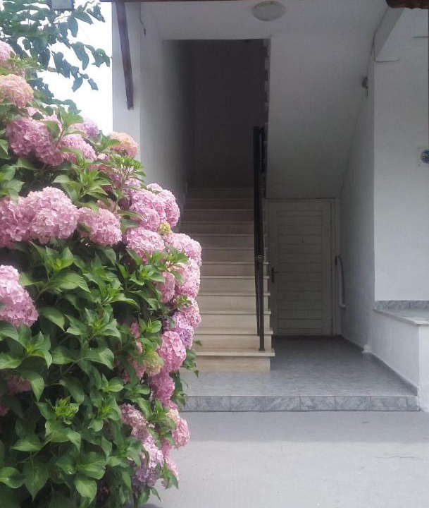 Photo of Buildings in Paralia Skotinis