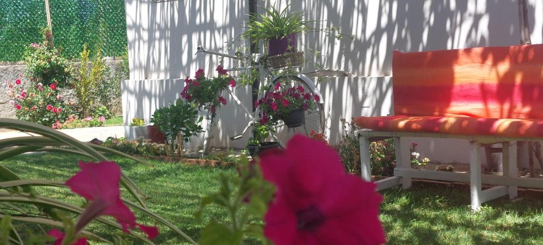 Photo of Others in Sakës