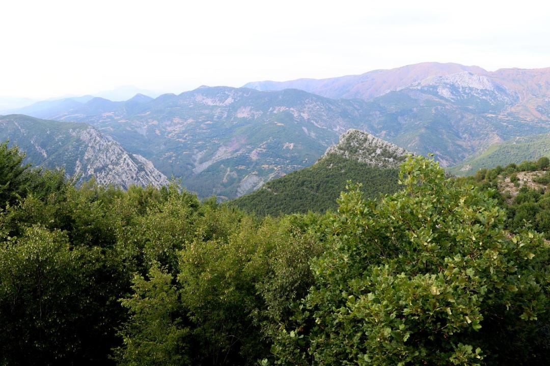 Photo of Others in Kruje
