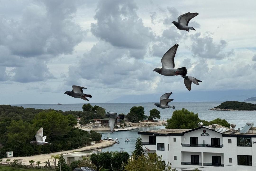 Photo of Others in Ksamil