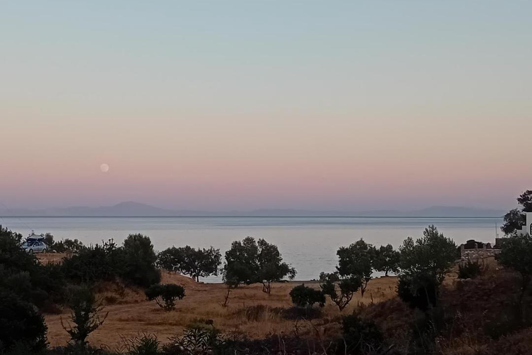 Photo of Others in Moutsouna