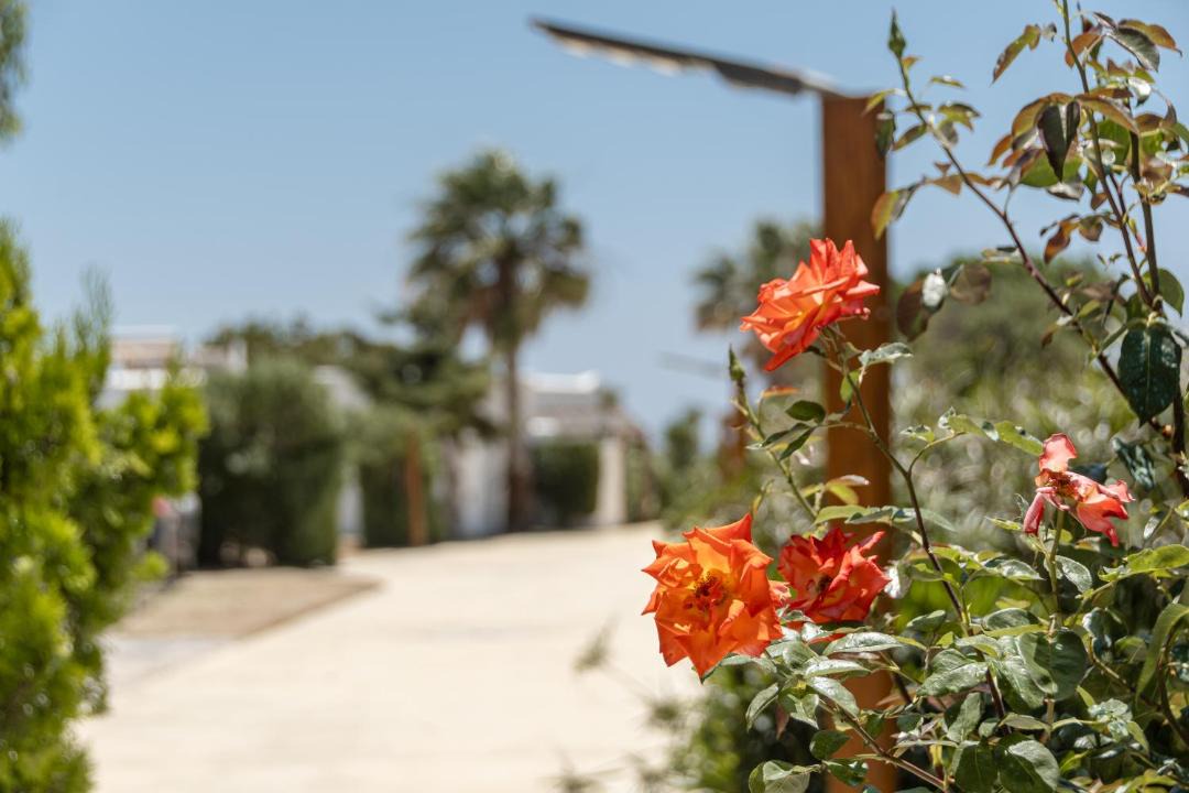 Photo of Others in Plaka