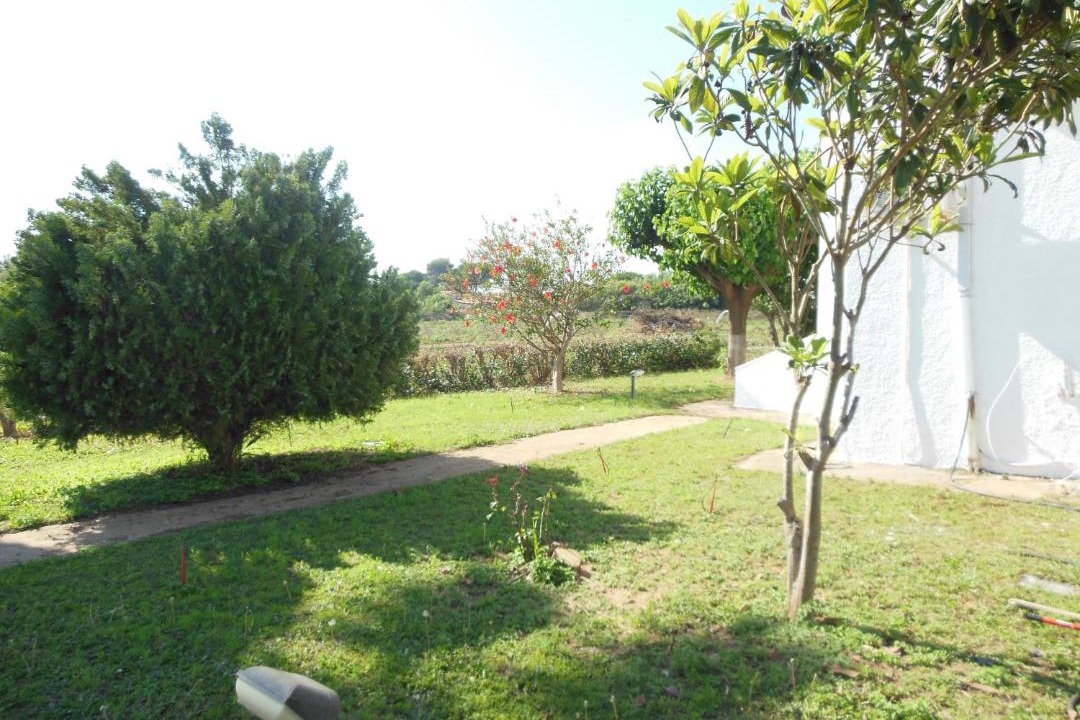 Photo of Others in Pineios