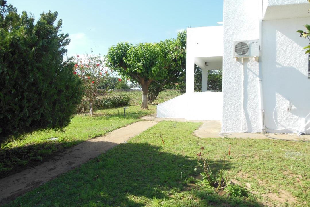 Photo of Others in Pineios