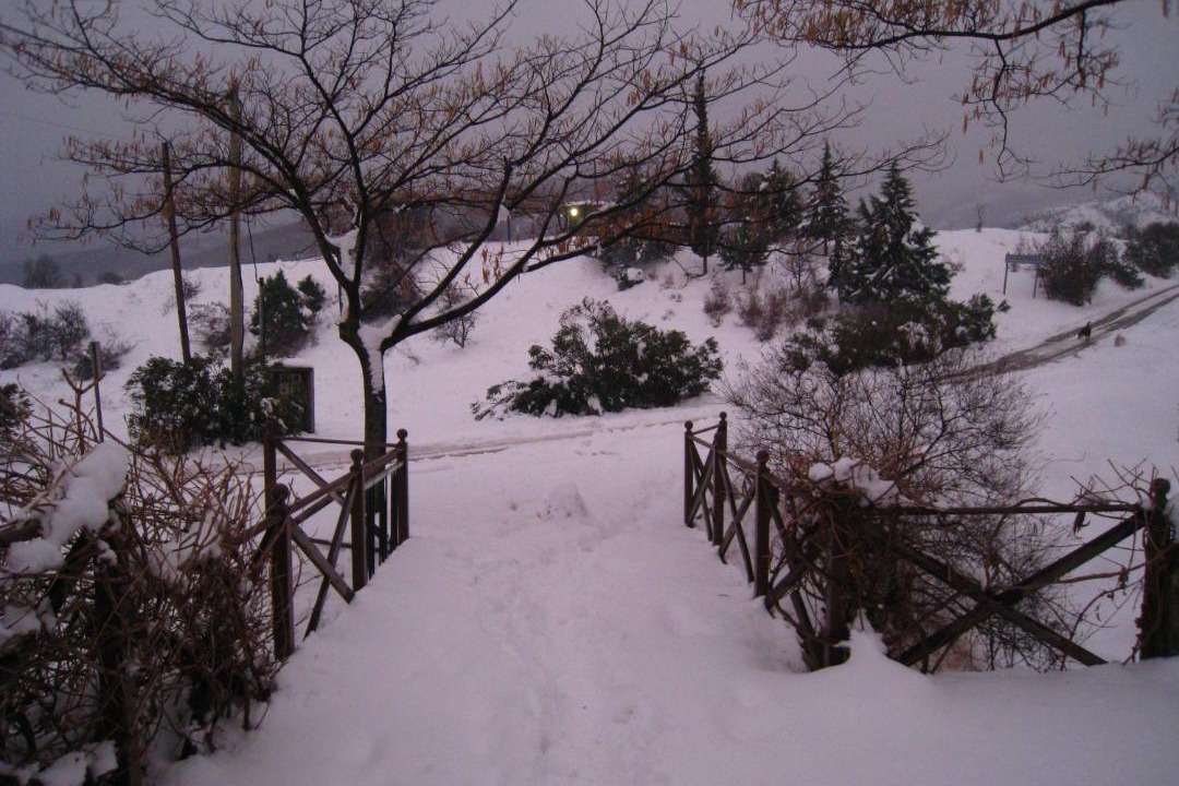 Photo of Others in Vergina