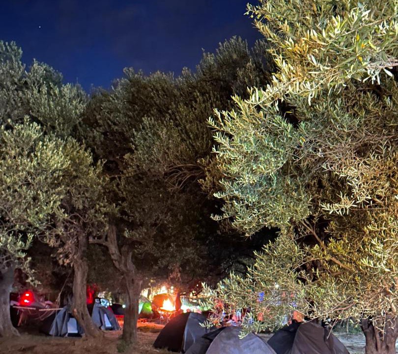 Photo of Others in Qeparo