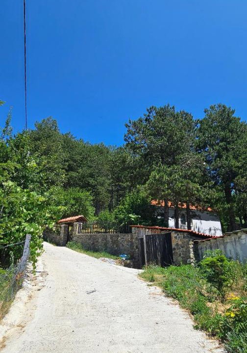Photo of Others in Elbasan