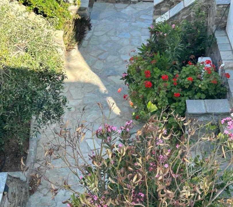 Photo of Others in Serifos