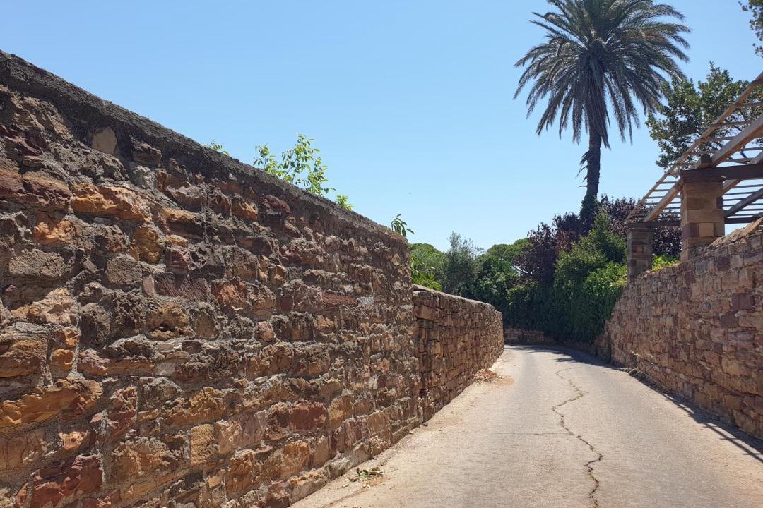Photo of Others in Agios Minas