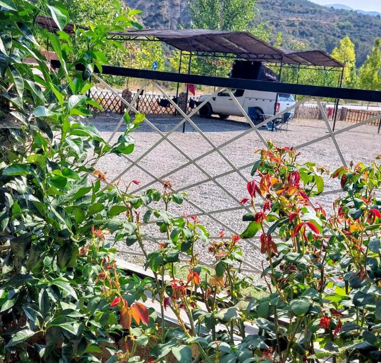 Photo of Others in Sinje