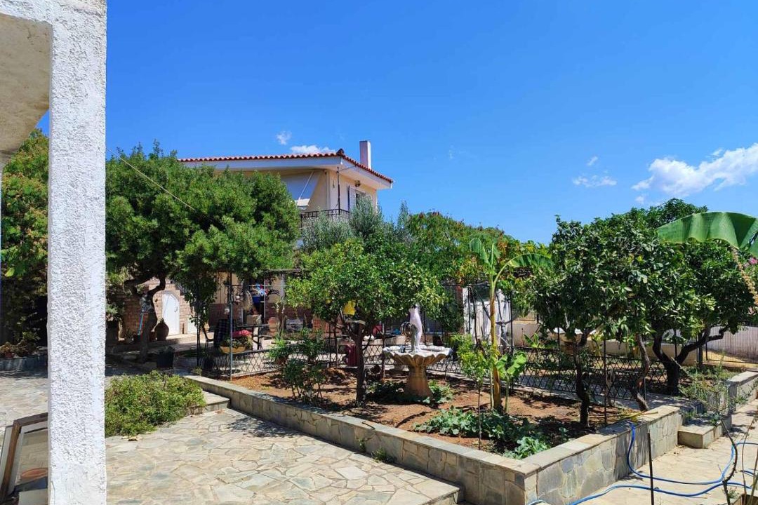 Photo of Others in Eretria