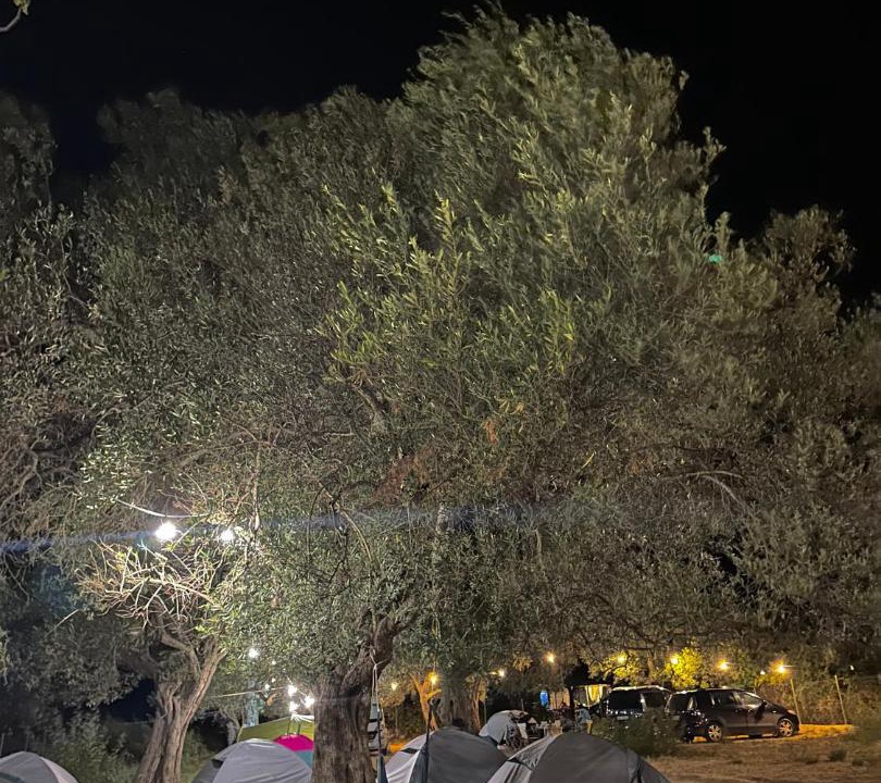 Photo of Others in Qeparo
