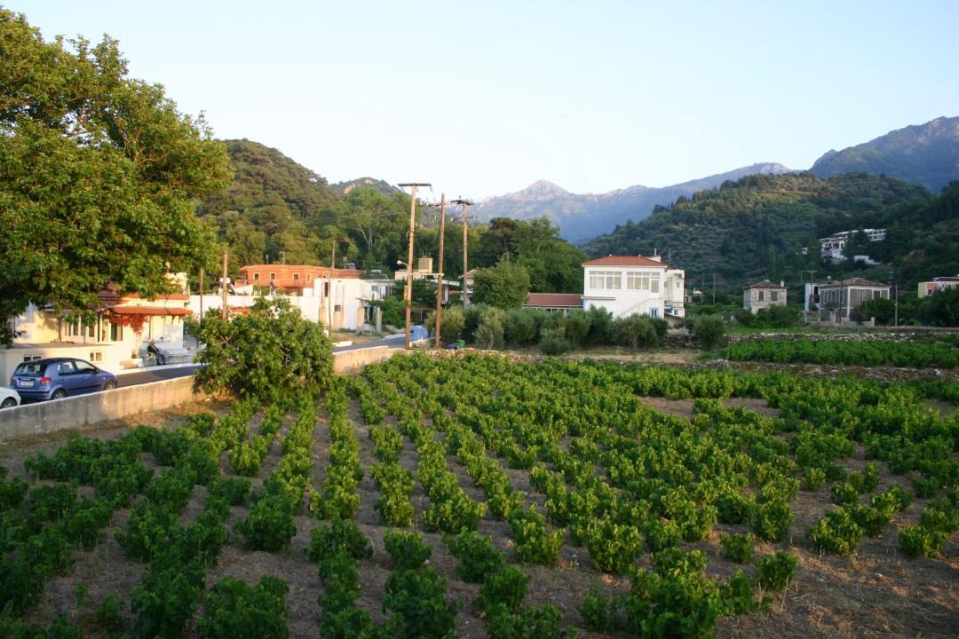 Photo of Others in Agios Konstantinos