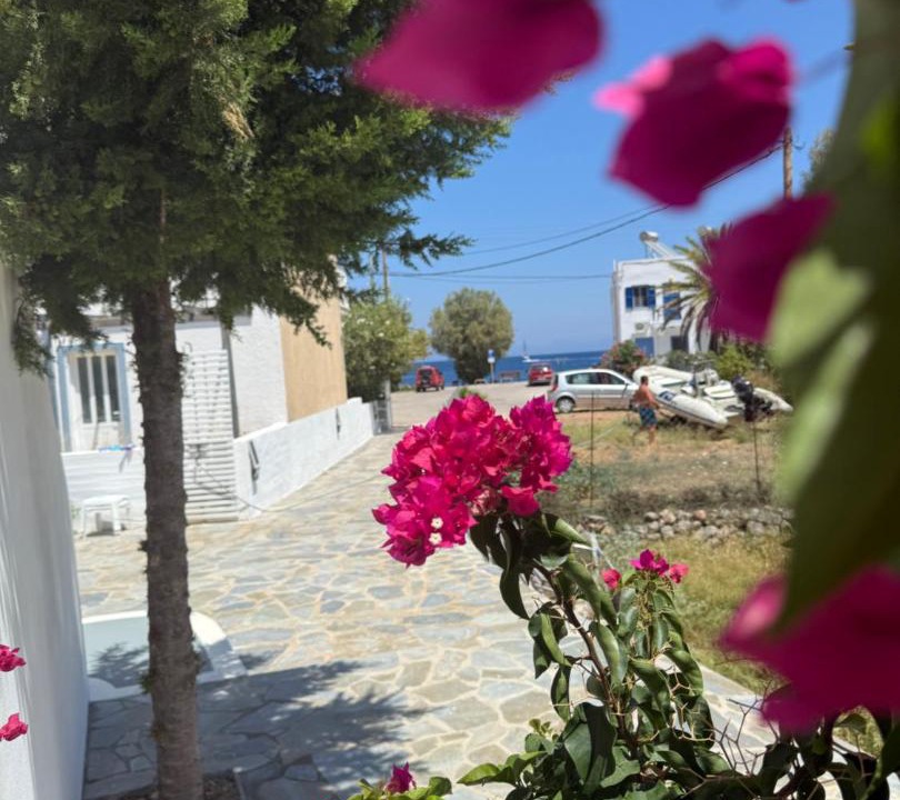 Photo of Others in Tilos