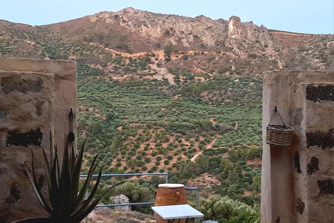Photo of Others in Lapithos