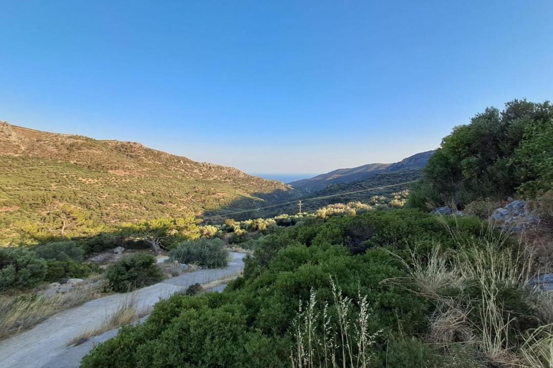 Photo of Others in Lapithos