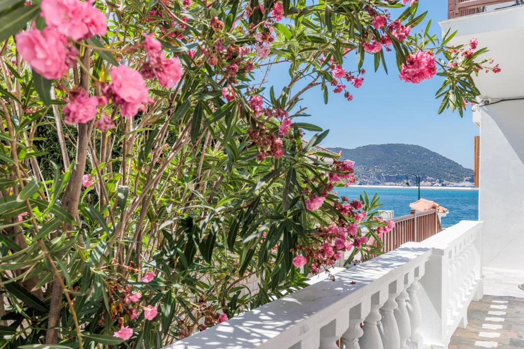 Photo of Others in Skopelos Town