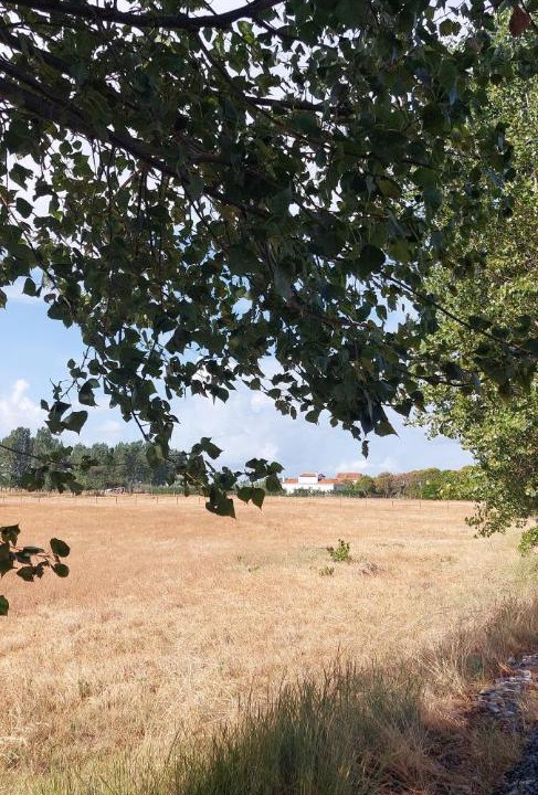 Photo of Others in Sakës