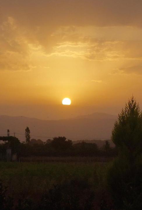 Photo of Others in Sakës