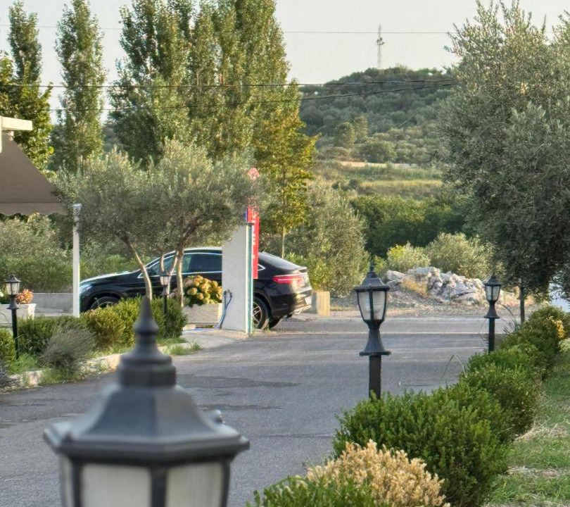 Photo of Others in Sakës