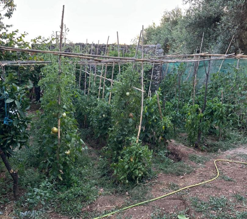 Photo of Outdoor in Molos