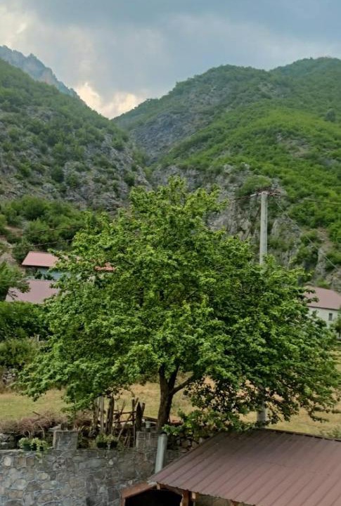 Photo of Others in Dragobi