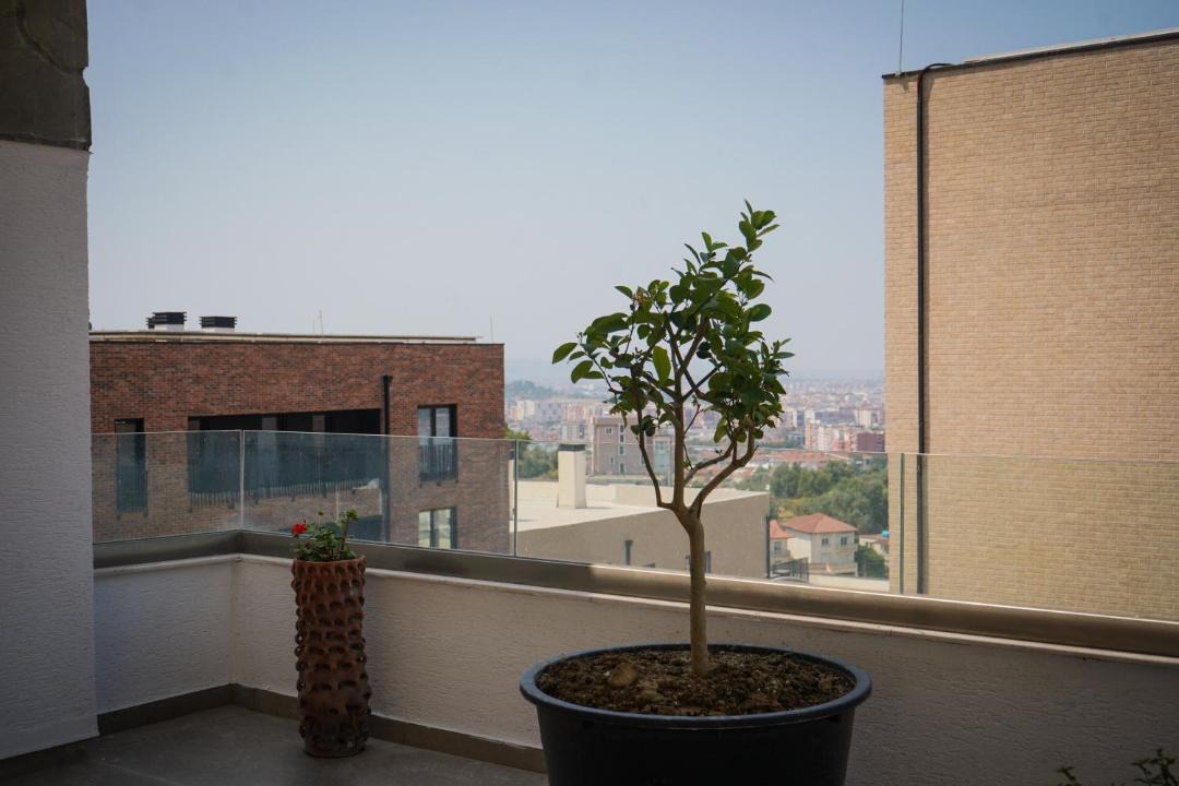 Photo of Others in Farke