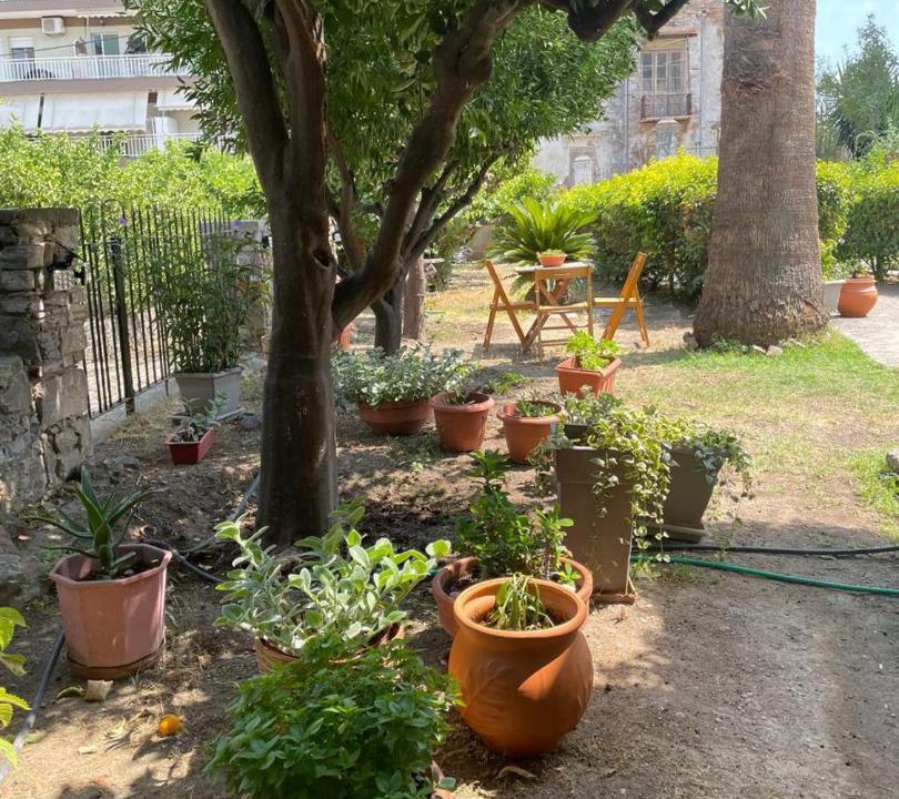 Photo of Others in Mytilene