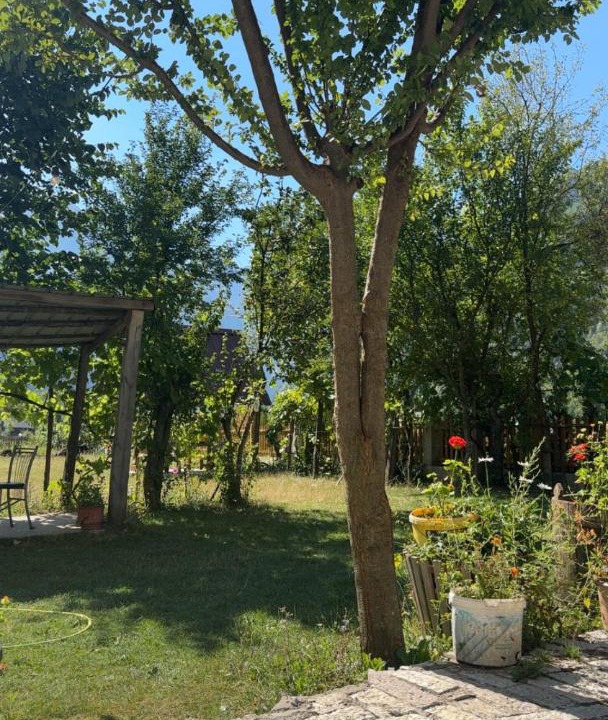 Photo of Outdoor in Theth