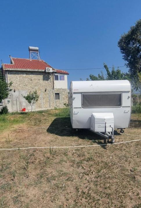 Photo of Others in Sakës